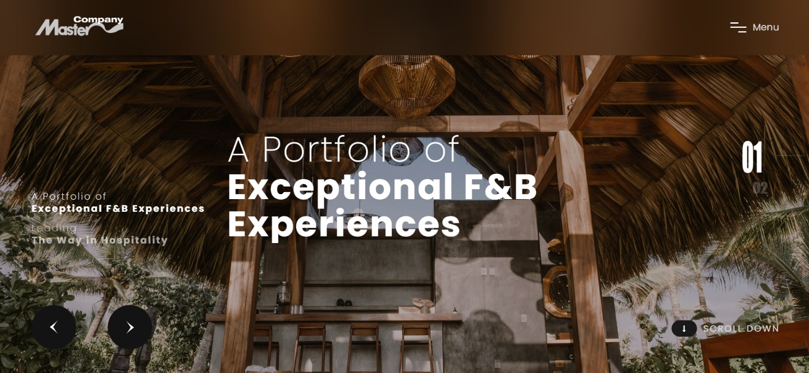 Website development projects