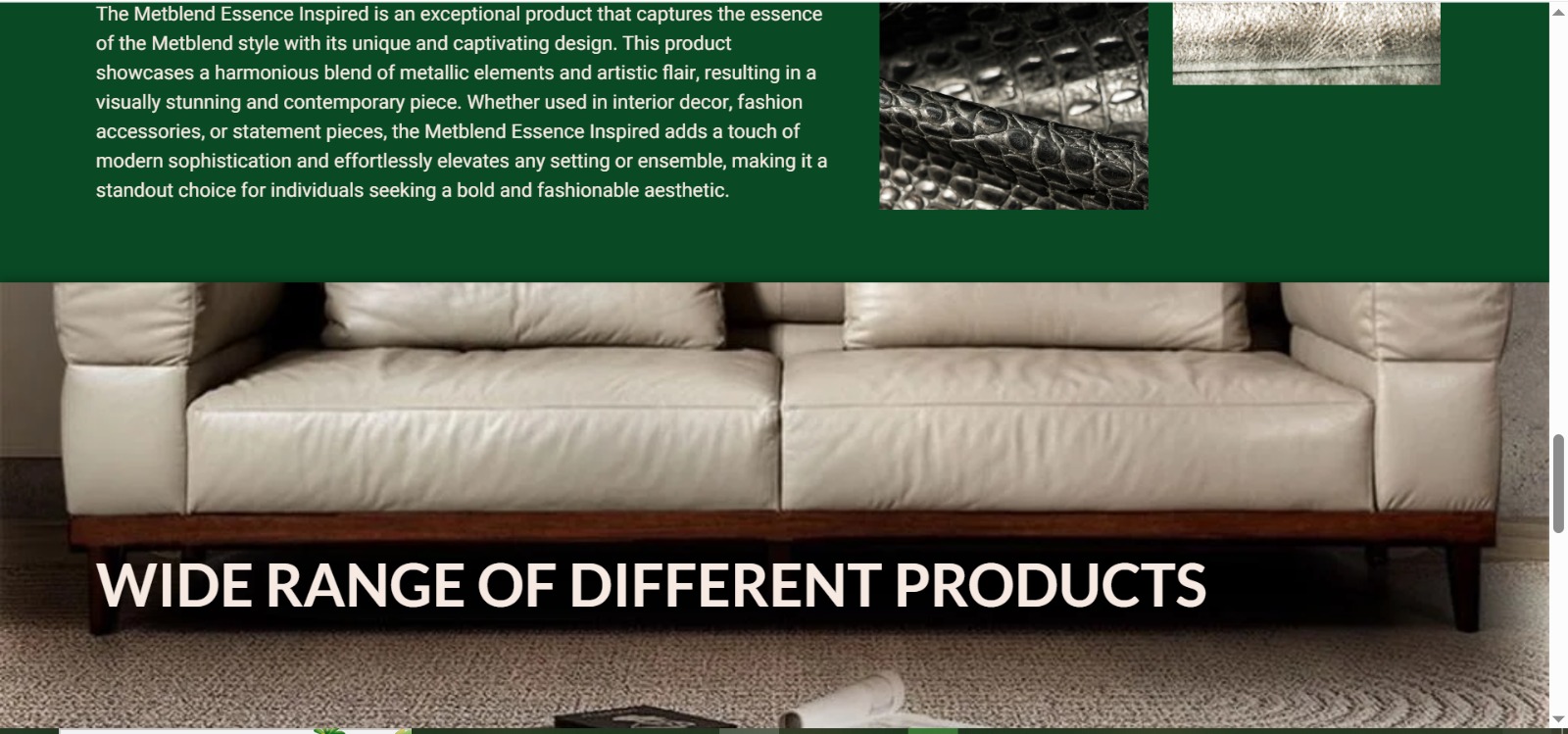 Website development projects