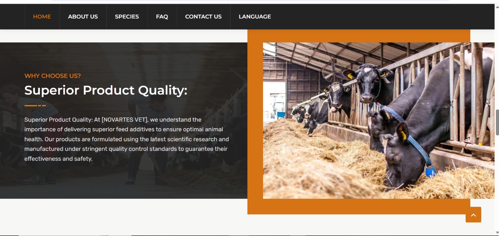 Mobile app development projects